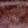 Materials: Mink